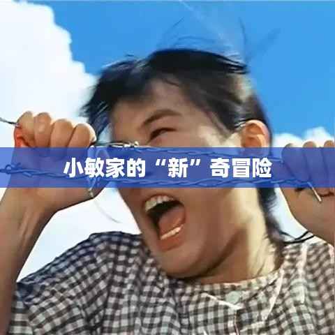 小敏家的“新”奇冒险
