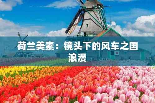 荷兰美素:镜头下的风车之国浪漫