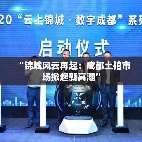 “锦城风云再起：成都土拍市场掀起新高潮”