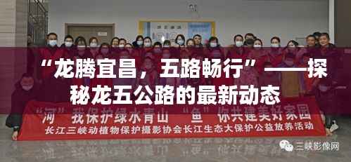 “龙腾宜昌,五路畅行”——探秘龙五公路的最新动态