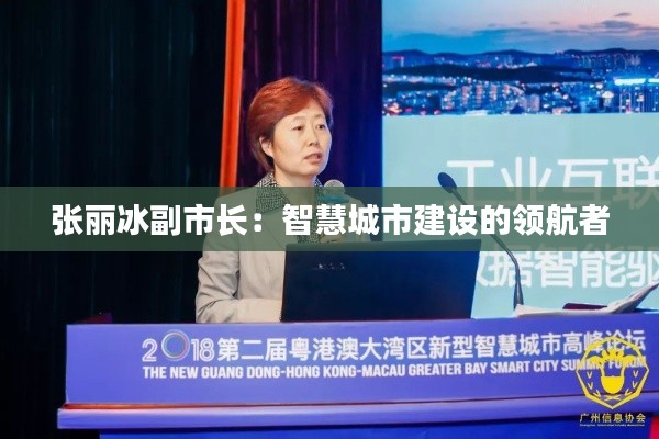 张丽冰副市长:智慧城市建设的领航者