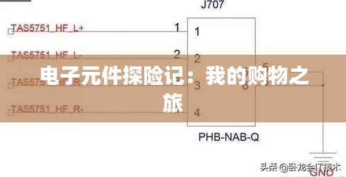 电子元件探险记:我的购物之旅