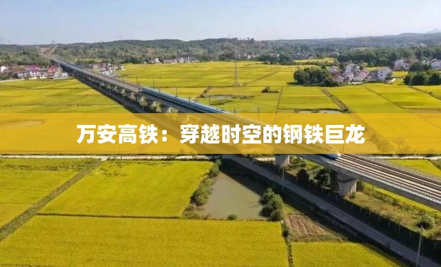 万安高铁:穿越时空的钢铁巨龙
