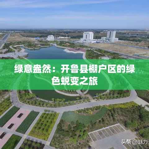 绿意盎然:开鲁县棚户区的绿色蜕变之旅