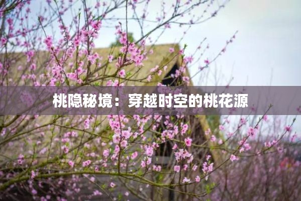 桃隐秘境:穿越时空的桃花源