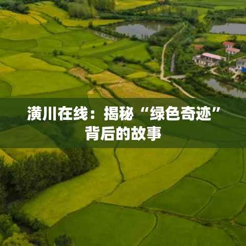 潢川在线:揭秘“绿色奇迹”背后的故事