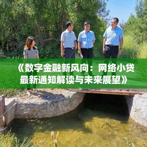 《数字金融新风向:网络小贷最新通知解读与未来展望》