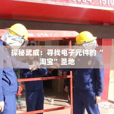 联系方式 第483页