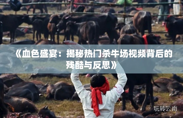 《血色盛宴:揭秘热门杀牛场视频背后的残酷与反思》