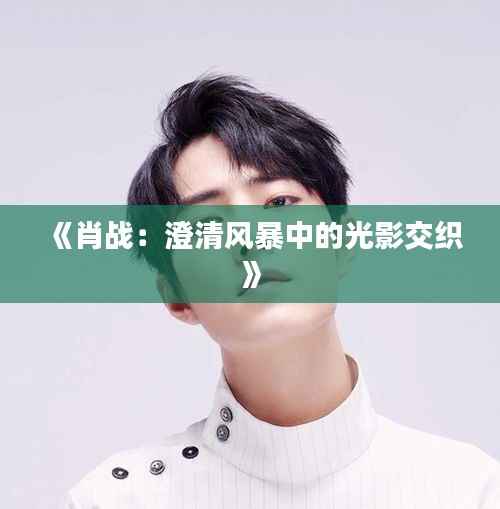 《肖战:澄清风暴中的光影交织》