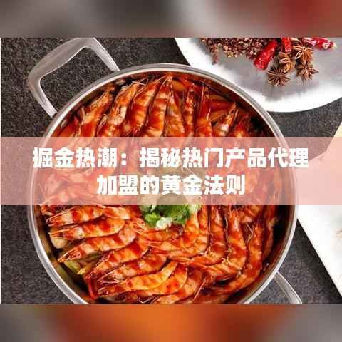 掘金热潮:揭秘热门产品代理加盟的黄金法则