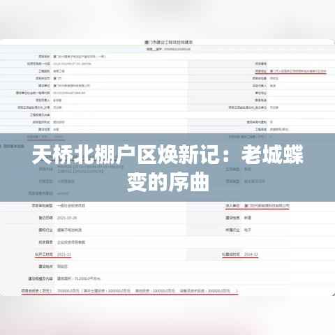 天桥北棚户区焕新记:老城蝶变的序曲