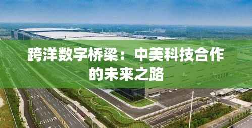 跨洋数字桥梁:中美科技合作的未来之路