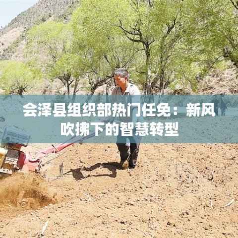 会泽县组织部热门任免:新风吹拂下的智慧转型