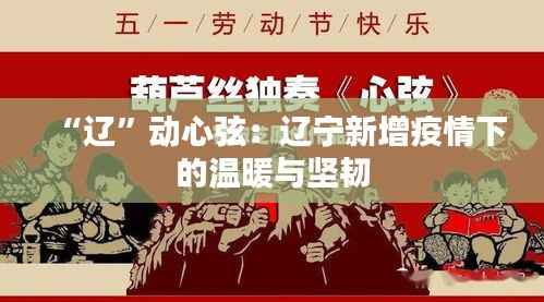 “辽”动心弦:辽宁新增疫情下的温暖与坚韧