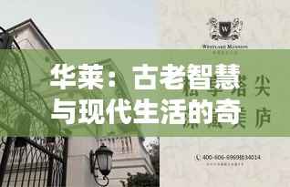 华莱:古老智慧与现代生活的奇妙融合