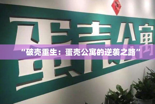 “破壳重生:蛋壳公寓的逆袭之路”