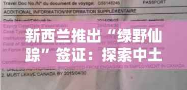 新西兰推出“绿野仙踪”签证:探索中土世界的全新机遇