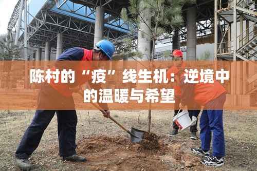 陈村的“疫”线生机:逆境中的温暖与希望