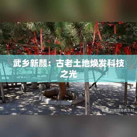 武乡新颜:古老土地焕发科技之光