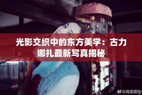 公司介绍 第491页