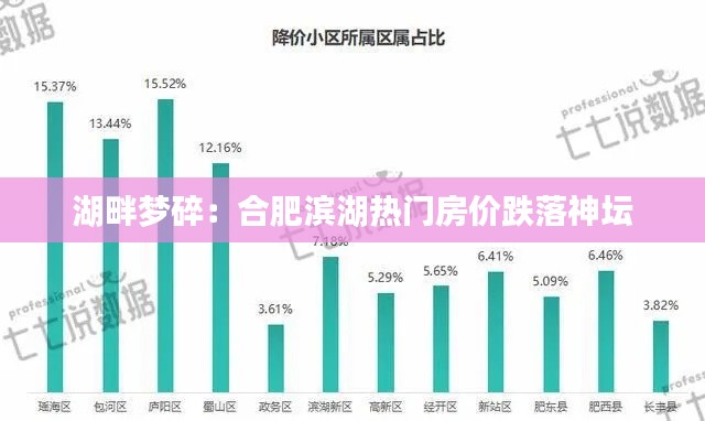 湖畔梦碎：合肥滨湖热门房价跌落神坛