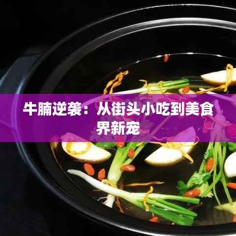 牛腩逆袭:从街头小吃到美食界新宠