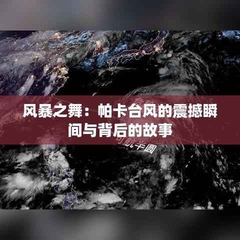 风暴之舞:帕卡台风的震撼瞬间与背后的故事