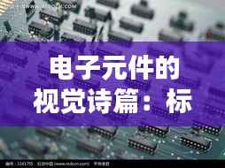 联系方式 第476页