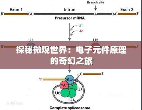 探秘微观世界:电子元件原理的奇幻之旅