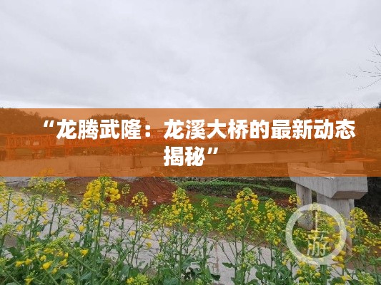 “龙腾武隆:龙溪大桥的最新动态揭秘”