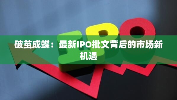 破茧成蝶:最新IPO批文背后的市场新机遇