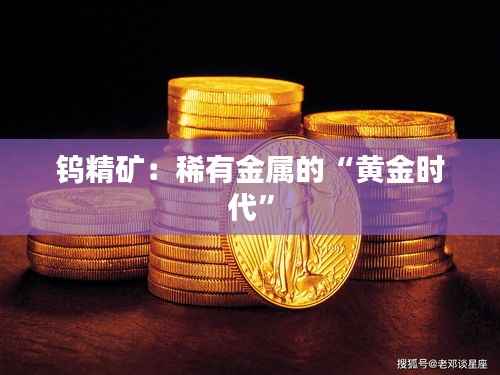 钨精矿:稀有金属的“黄金时代”