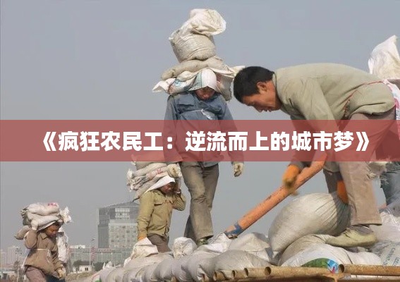 《疯狂农民工:逆流而上的城市梦》
