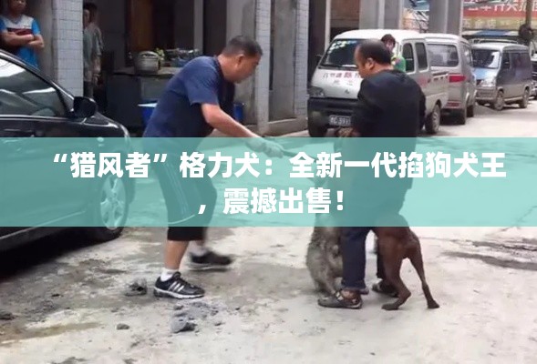 沉鱼落雁 第8页