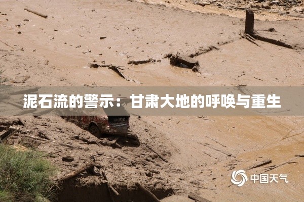 泥石流的警示:甘肃大地的呼唤与重生