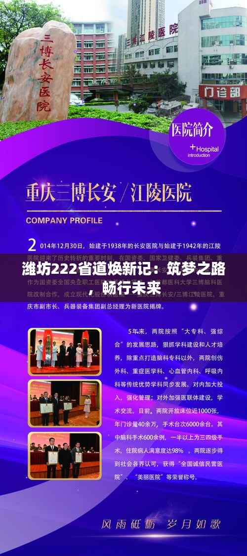 潍坊222省道焕新记:筑梦之路,畅行未来