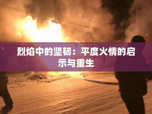 烈焰中的坚韧:平度火情的启示与重生