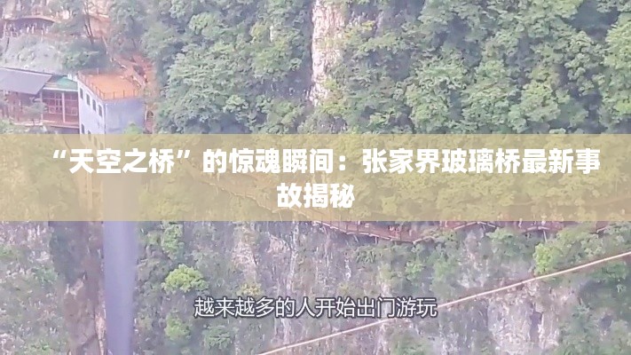 “天空之桥”的惊魂瞬间:张家界玻璃桥最新事故揭秘