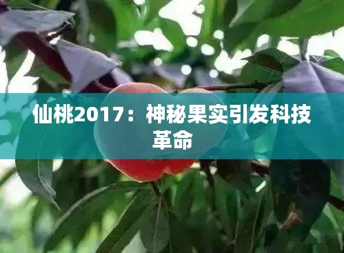 仙桃2017:神秘果实引发科技革命