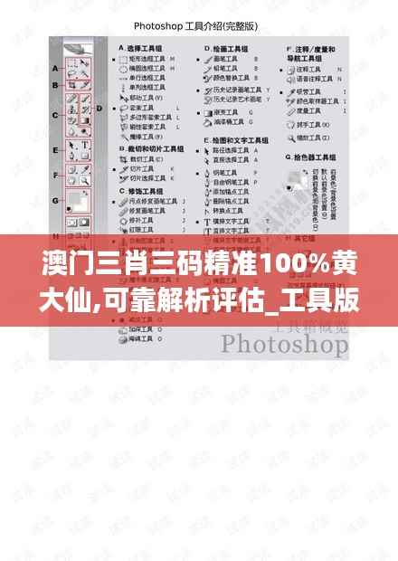 澳门三肖三码精准100%黄大仙,可靠解析评估_工具版10.757