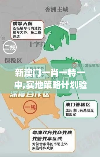 新澳门一肖一特一中,实地策略计划验证_Superior3.230