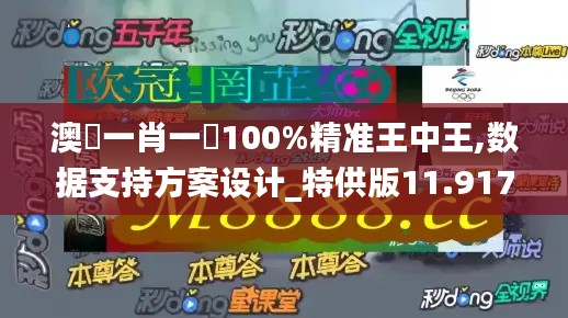 澳門一肖一碼100%精准王中王,数据支持方案设计_特供版11.917