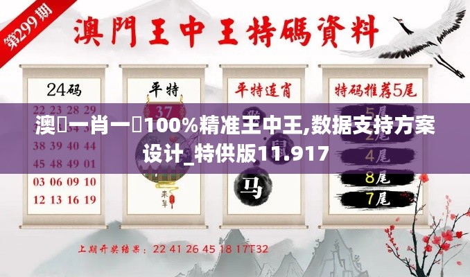 澳門一肖一碼100%精准王中王,数据支持方案设计_特供版11.917