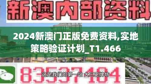 2024新澳门正版免费资料,实地策略验证计划_T1.466