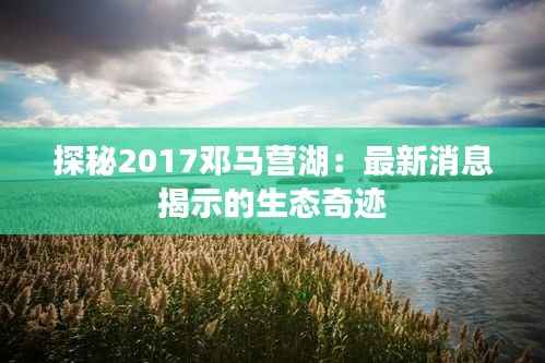 探秘2017邓马营湖:最新消息揭示的生态奇迹