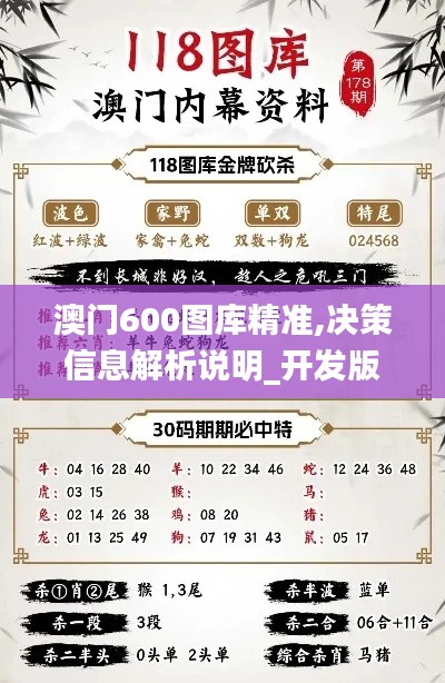 澳门600图库精准,决策信息解析说明_开发版15.818