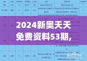 2024新奥天天免费资料53期,时代说明评估_领航版5.504