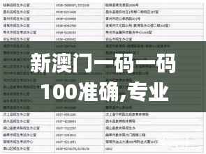 新澳门一码一码100准确,专业解析评估_粉丝版3.902