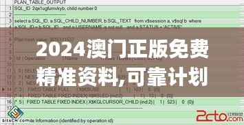 2024澳门正版免费精准资料,可靠计划策略执行_X版4.629